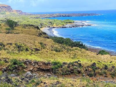 Sandee - Nuu Bay