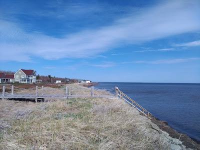 Sandee - Berner Beach