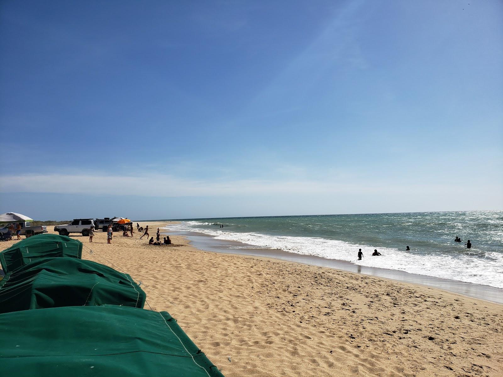 Sandee Playa Vlr99