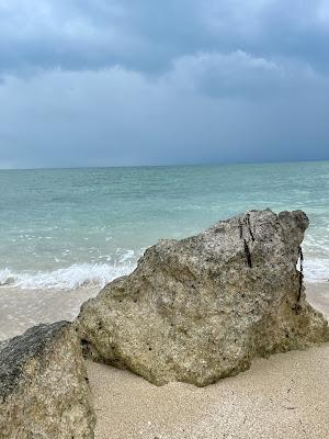 Sandee - Coral Harbour Beach