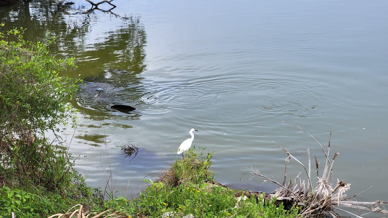 Sandee - Canaveral National Seashore