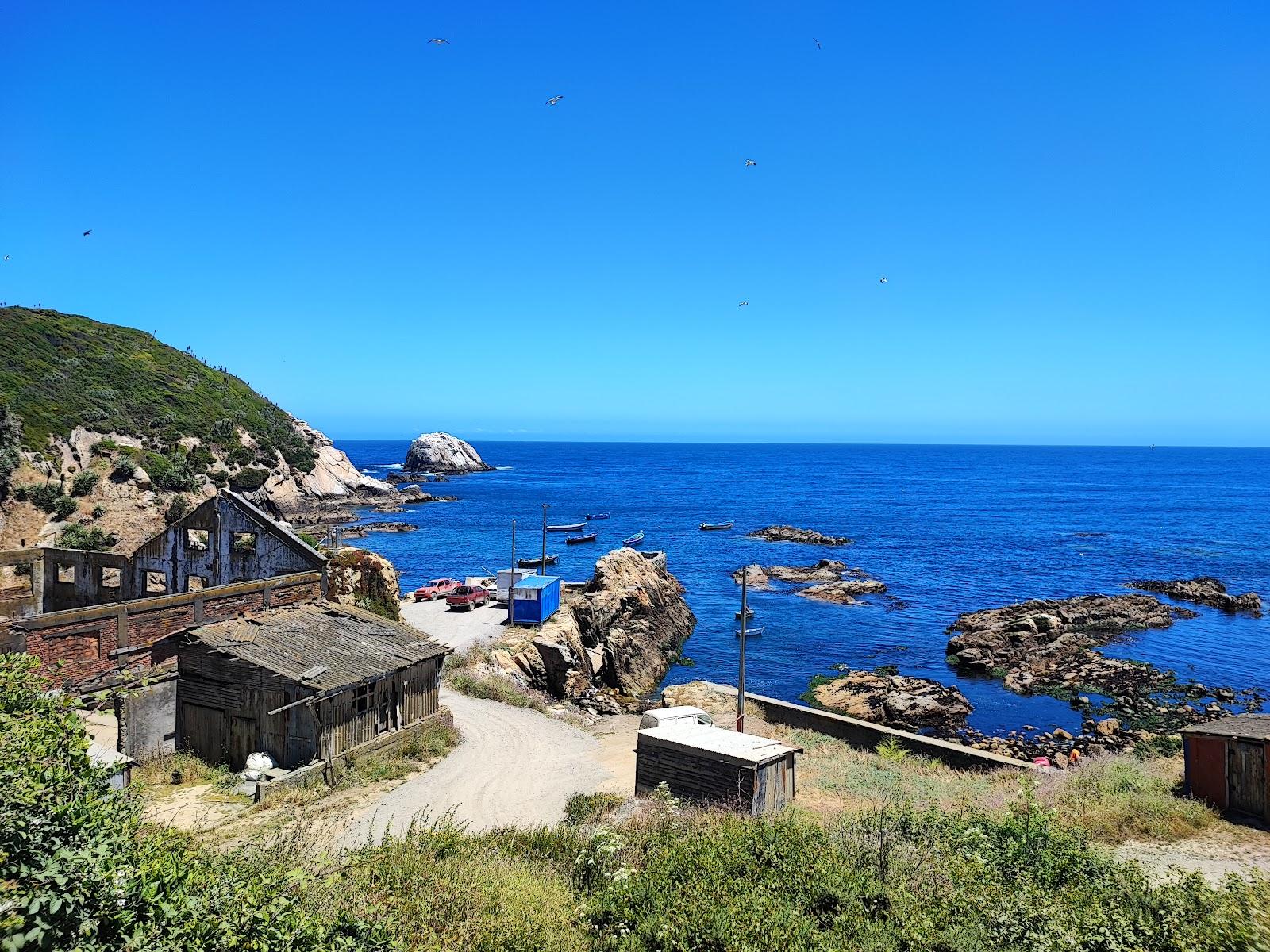 Sandee Caleta Chome