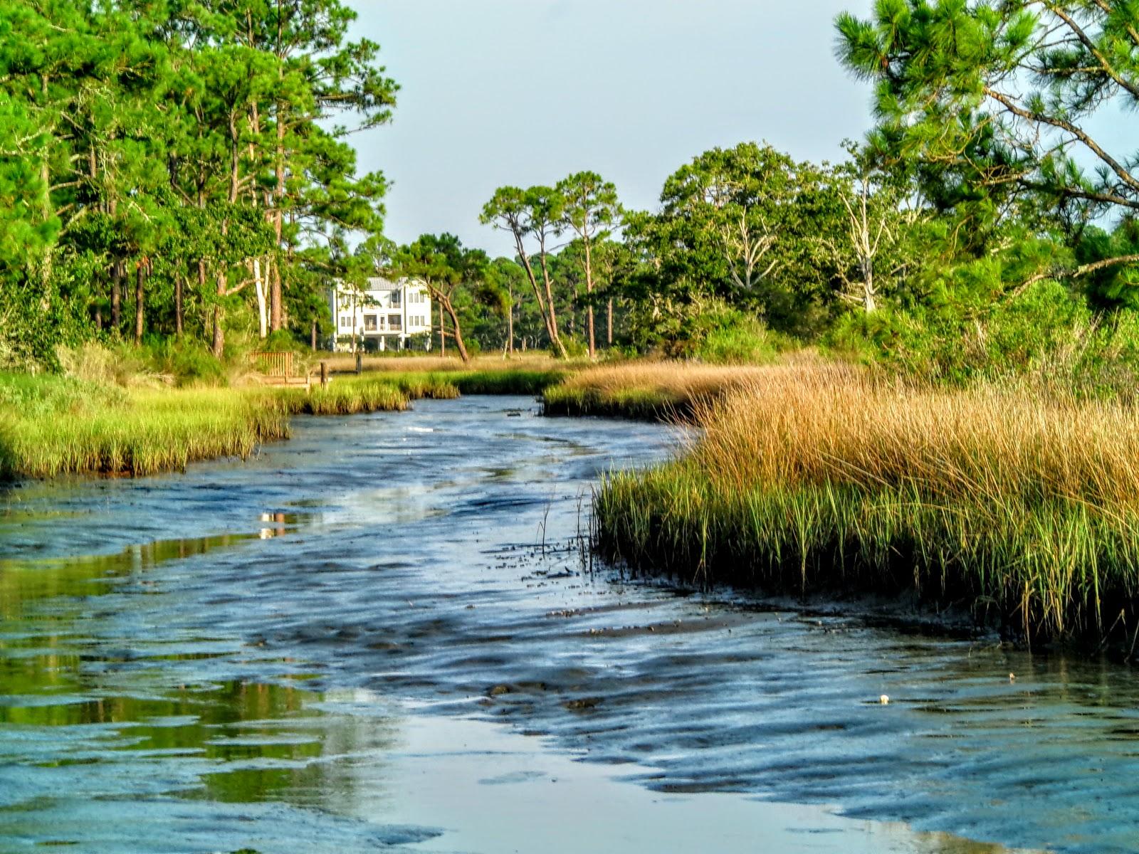 Sandee - Alligator Point