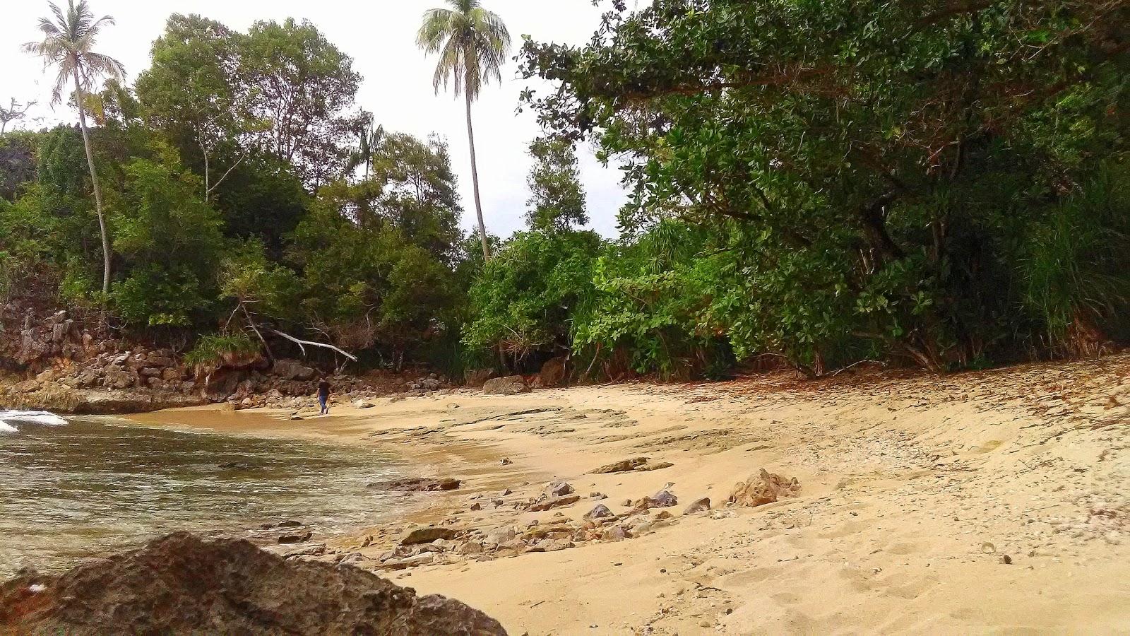 Sandee - Cut Peulumat Beach