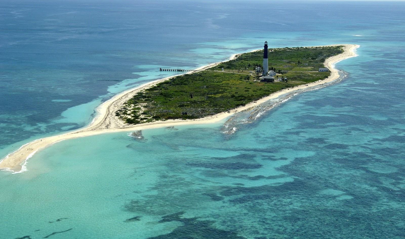 Sandee Loggerhead Key Photo