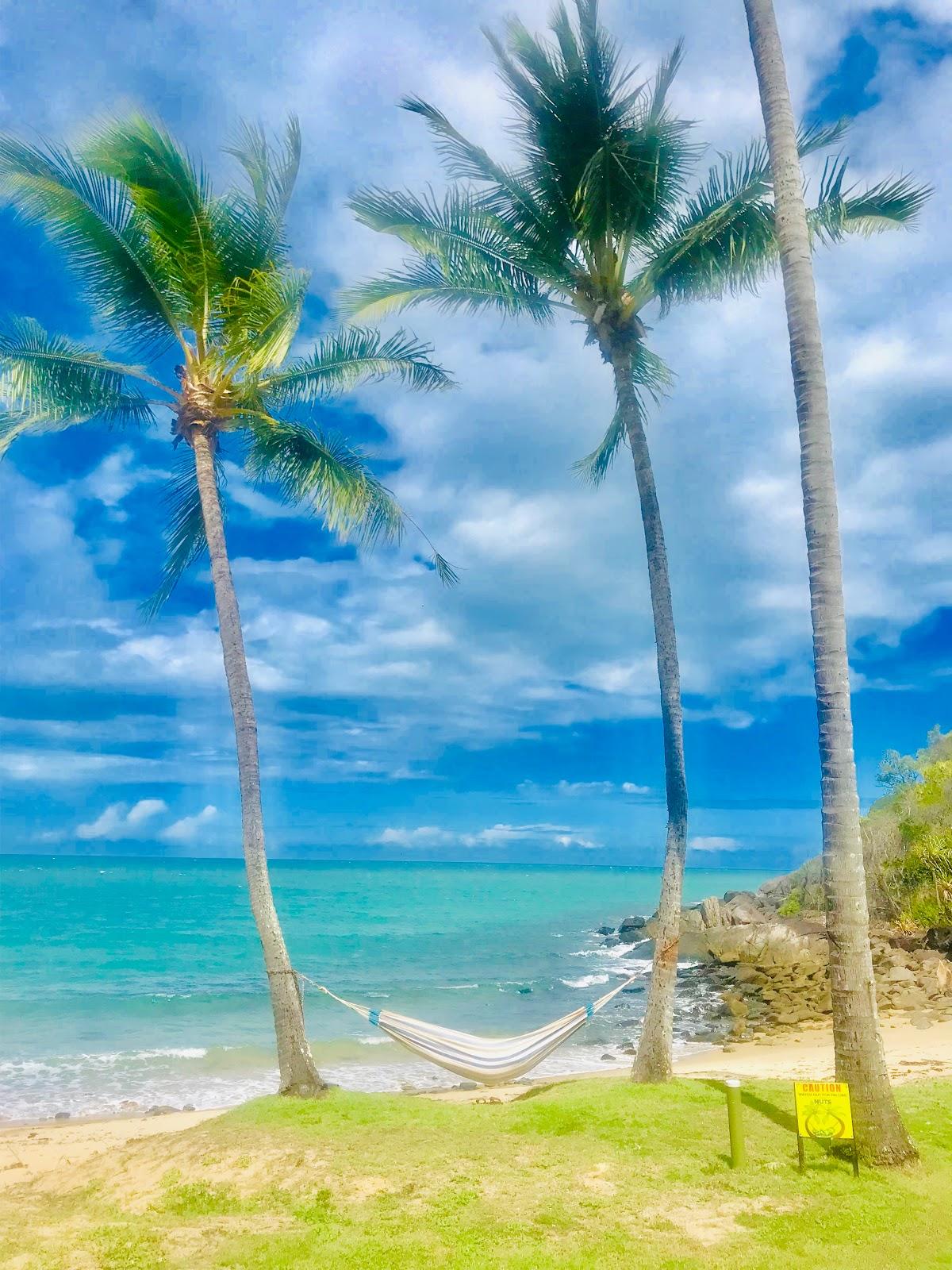 Sandee Turtle Creek Beach