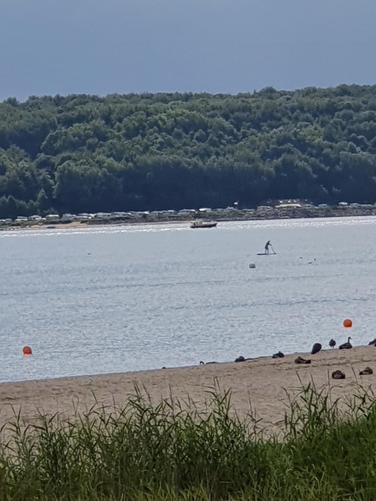 Sandee Falckenstein Beach