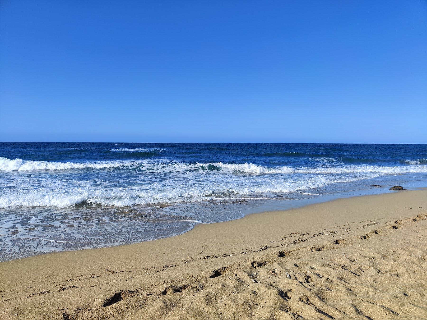 Sandee Spiaggia D'Ayala