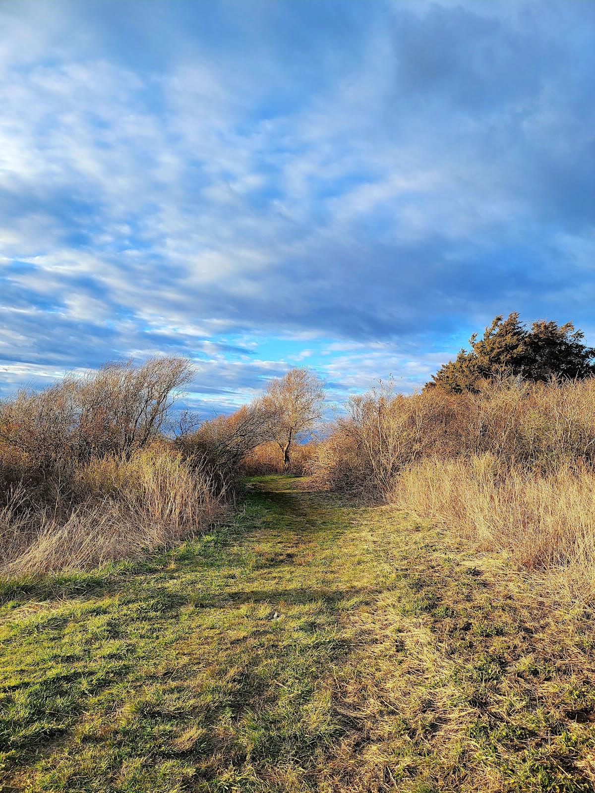 Sandee - Beavertail State Park