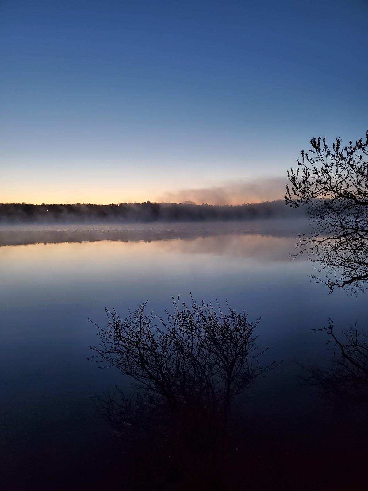 Sandee Snake Pond Photo