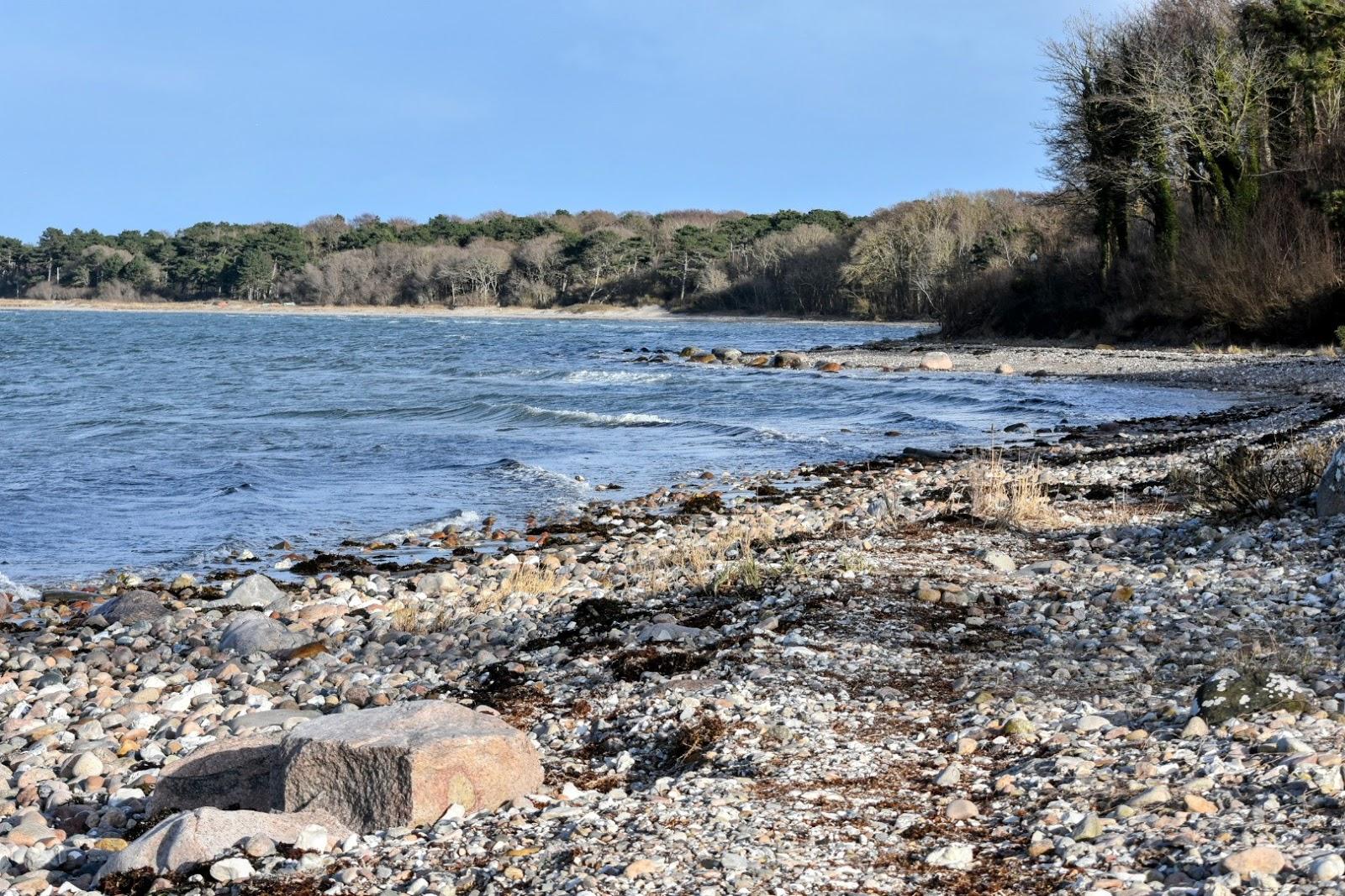 Sandee - Høve Strand, Skelbakken