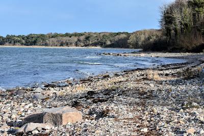 Sandee - Høve Strand, Skelbakken