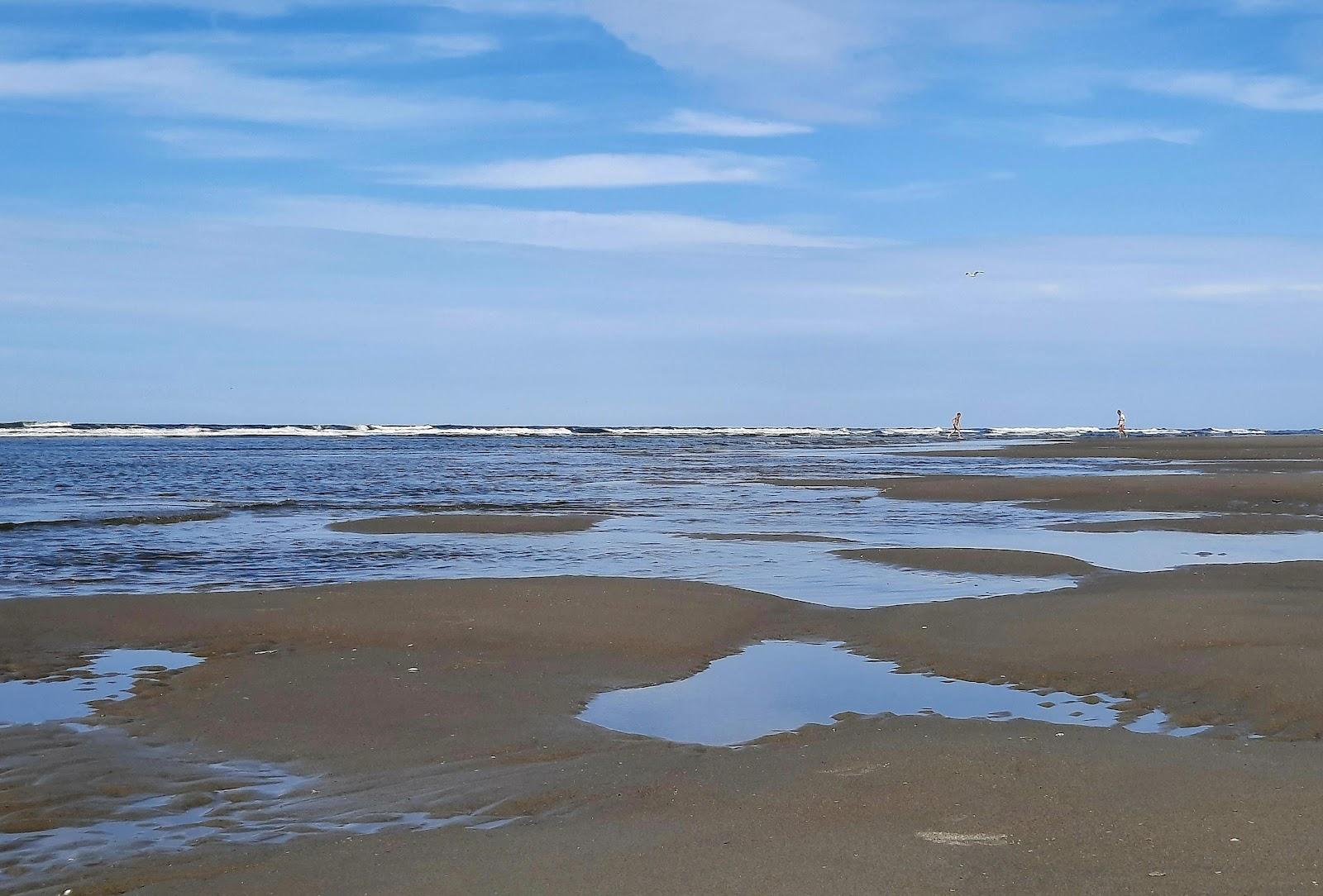 Sandee Kaap Hoorn