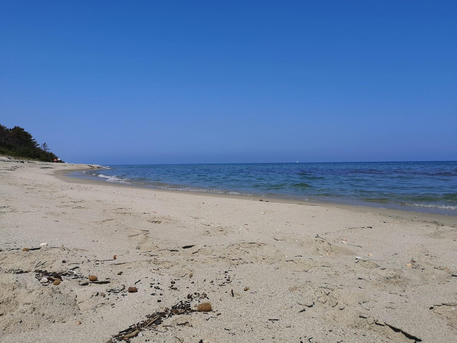 Sandee Plage De Mar'E Stagnu Photo