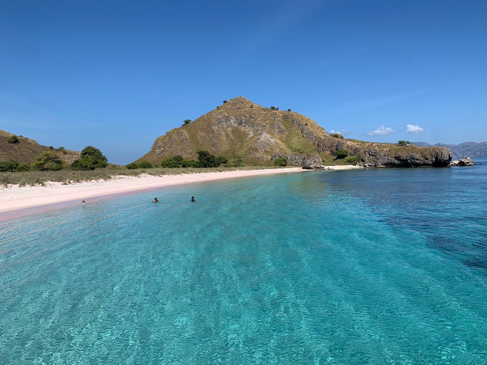 Sandee Pink Beach Photo