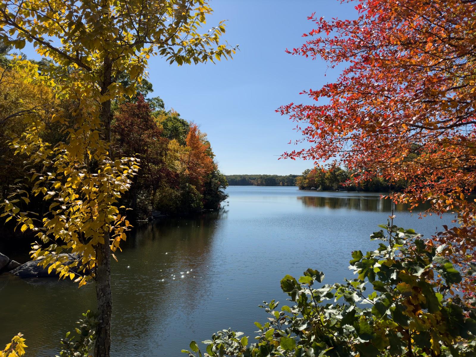 Sandee - Lincoln Woods Beach