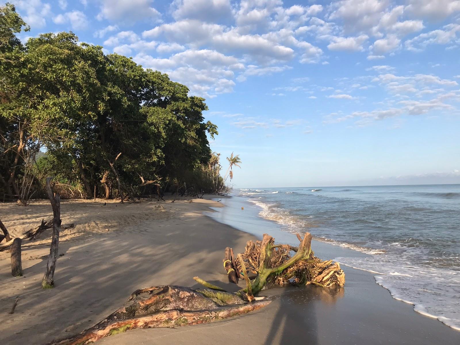 Sandee - Playa Palomino