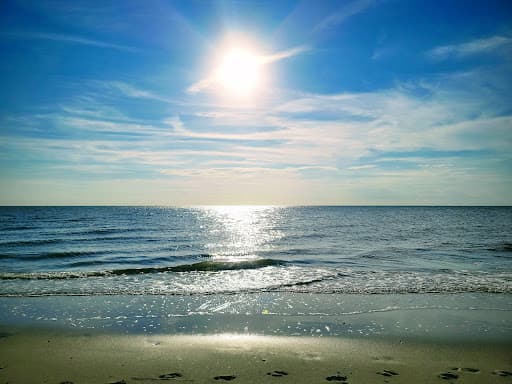 Sandee - Fortescue Beach