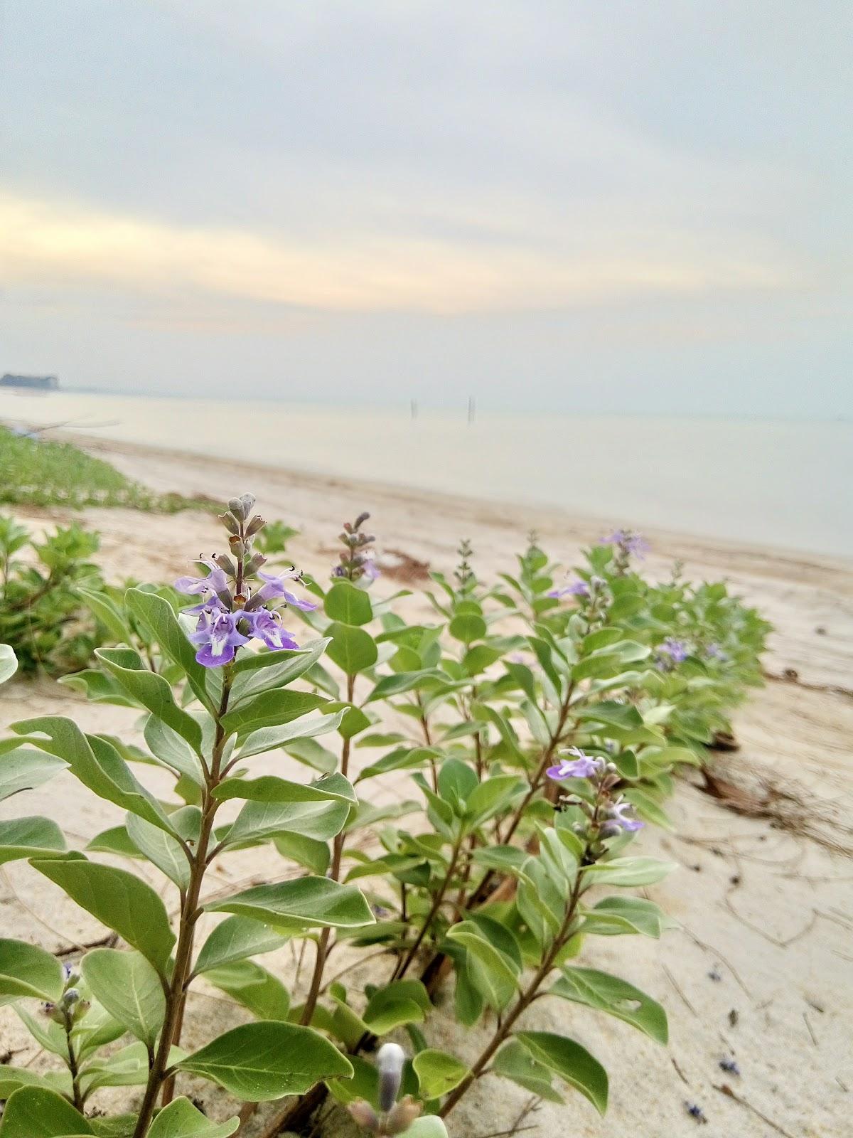 Sandee Lovapalle Beach