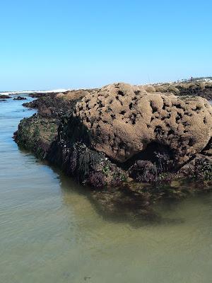 Sandee - Praia De Dunas Mar