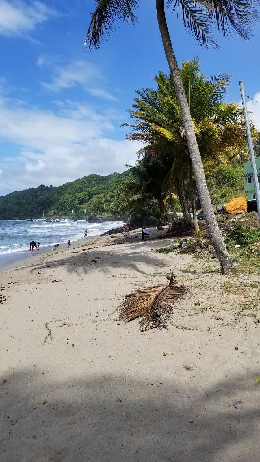 Sandee Sans Souci
