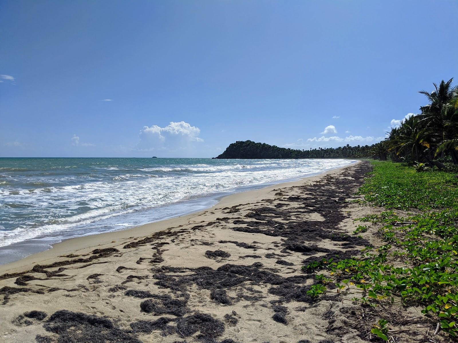 Sandee Playa Punta Santiago