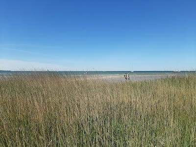 Sandee - Dune In Stein