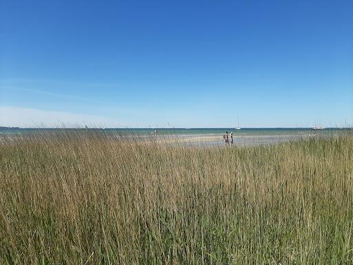 Sandee Dune In Stein Photo