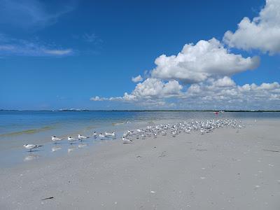 Sandee - Bowditch Point Park