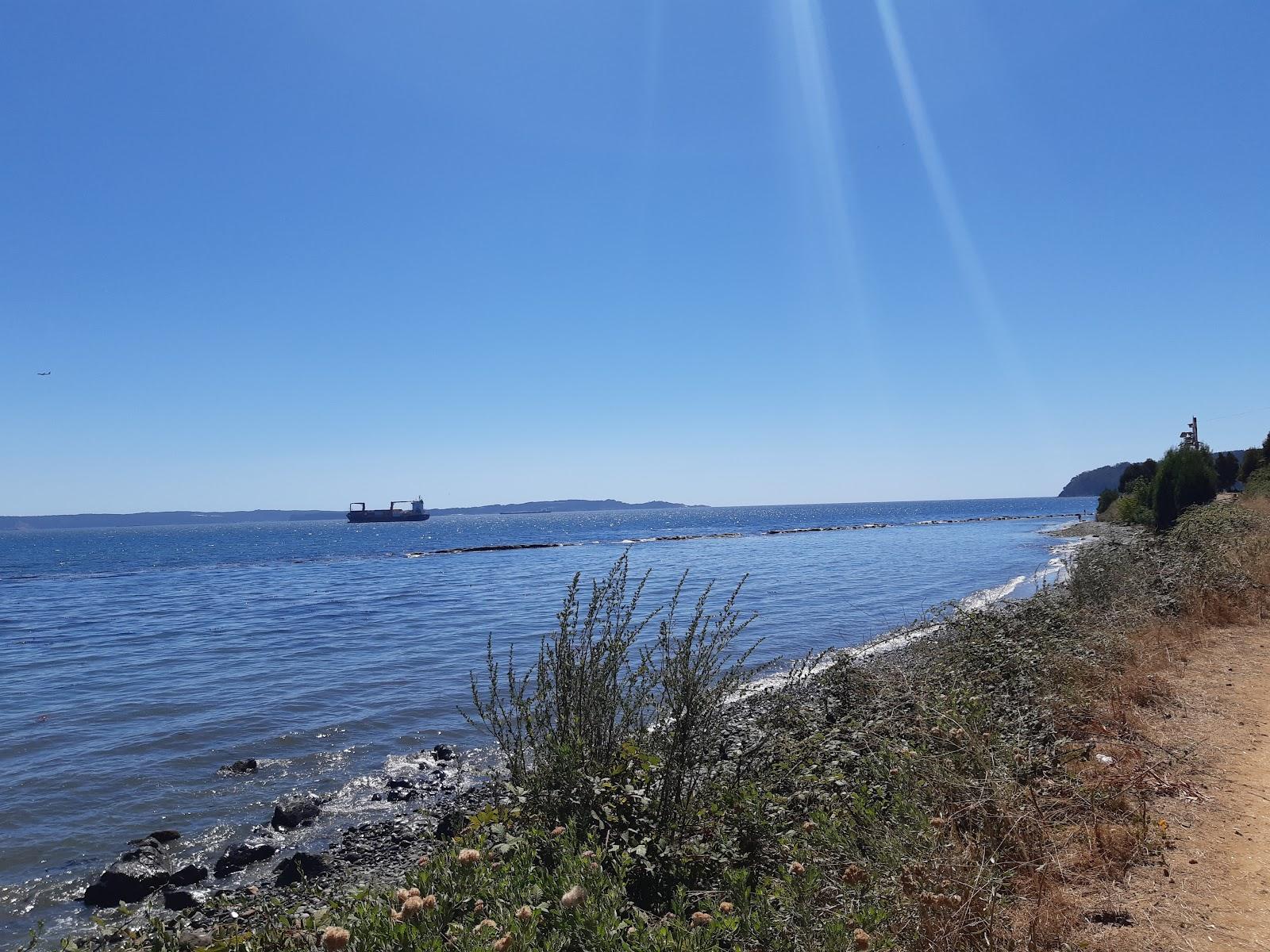 Sandee Playa Lirquen