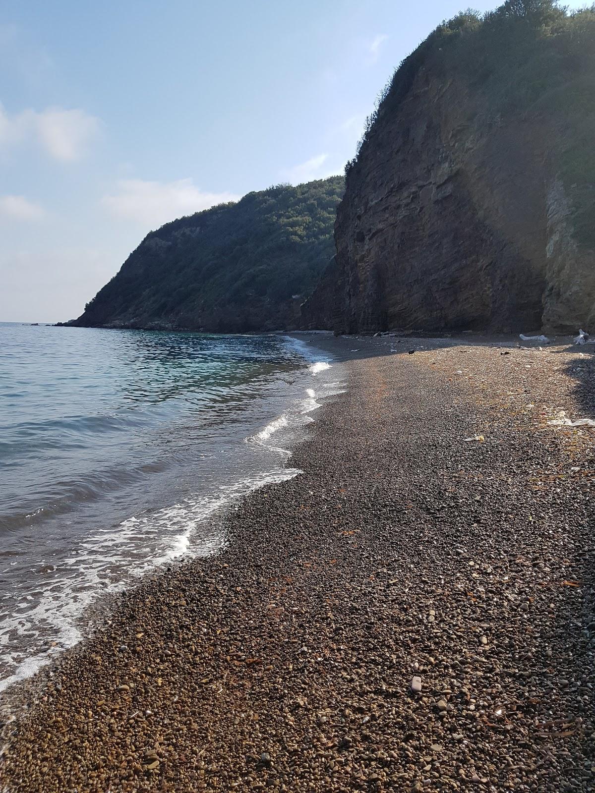 Sandee Spiaggia Di Zupignano