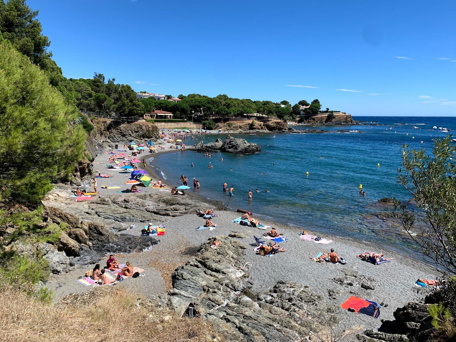 Sandee Playa De Tonyines A Llanca Photo