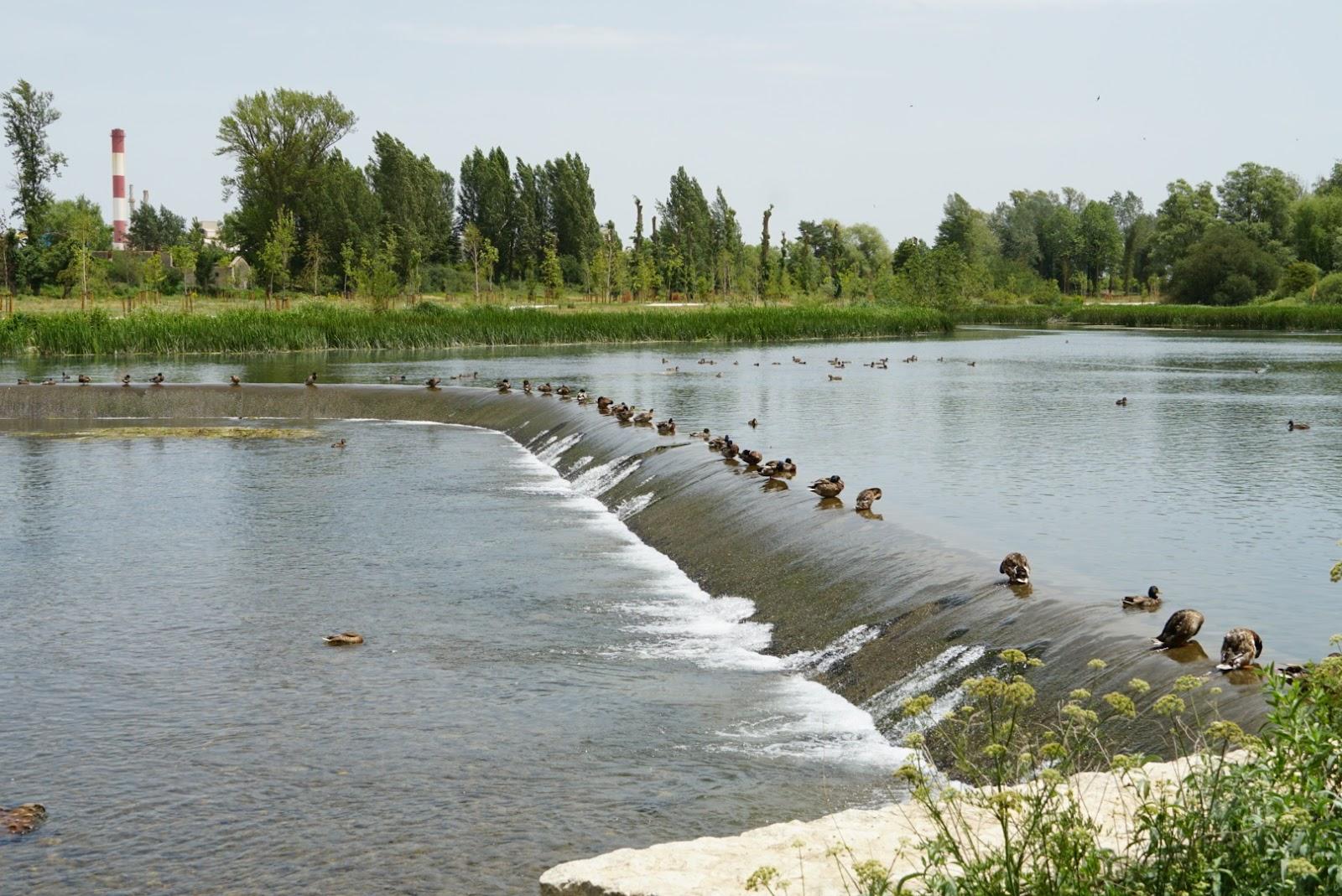 Sandee - Playa Fluvial Fuente Del Prior