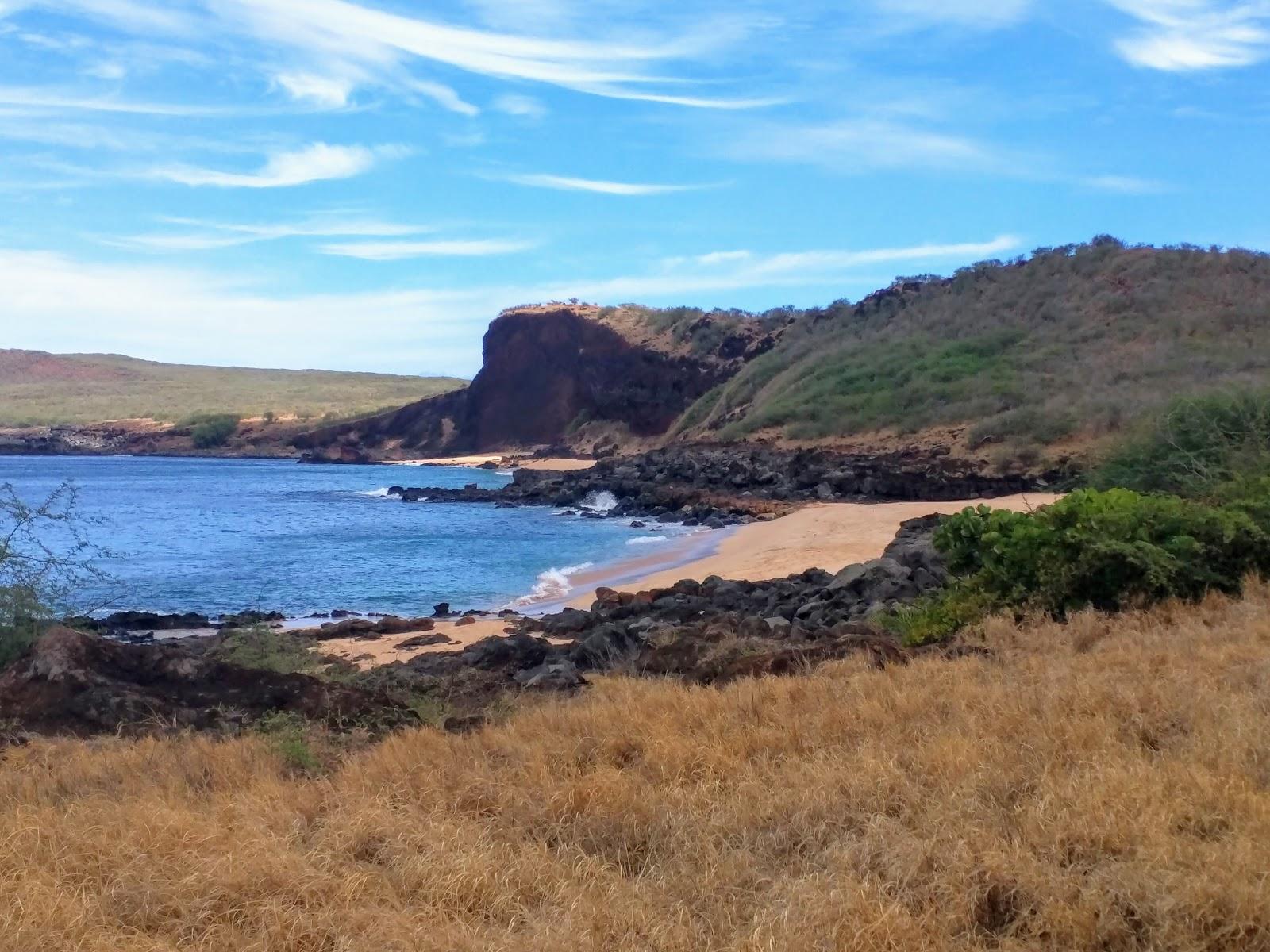 Sandee - Pohaku Mauliuli Beach