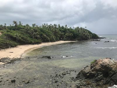 Sandee - La Foret Beach/Forest Point