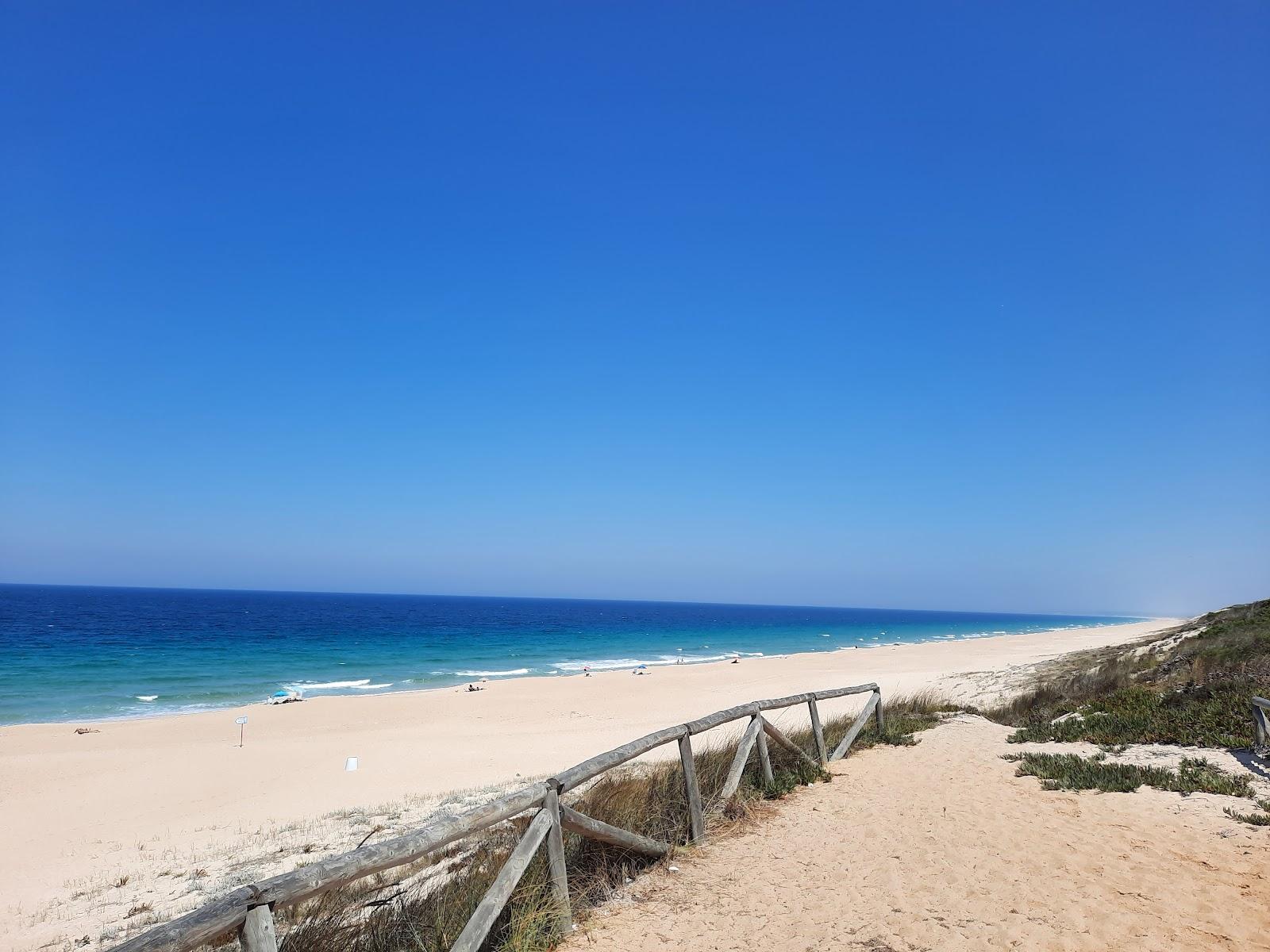 Sandee The White Sands Beach