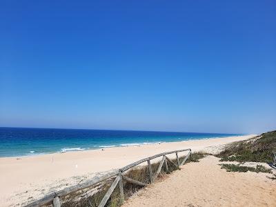 Sandee - The White Sands Beach