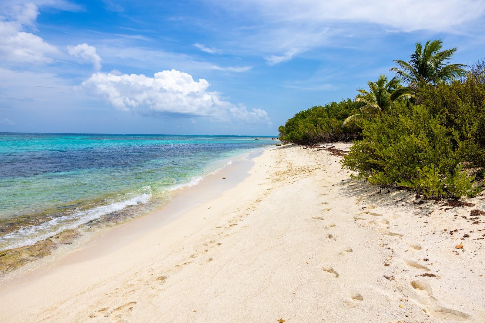 Sandee Petit Tabac Island