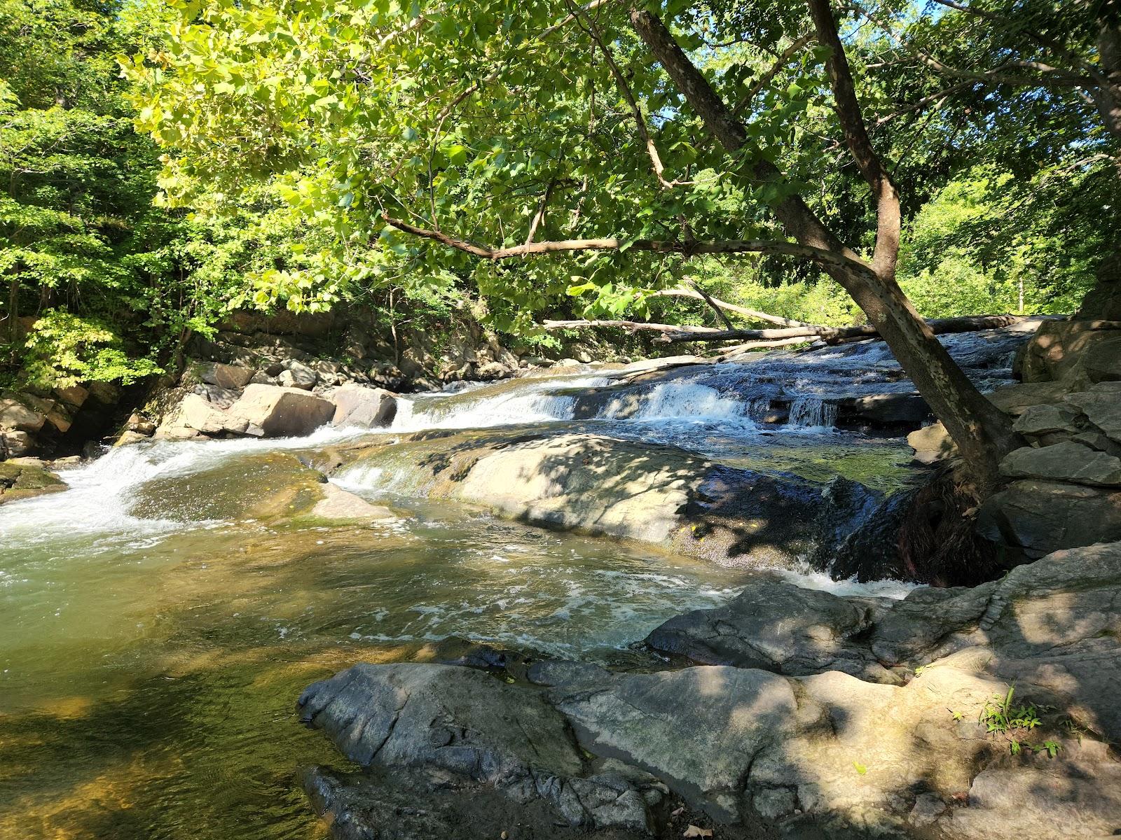 Sandee Patapsco Valley State Park-Mckeldin Area Photo