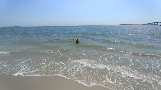 Sandee - Achelia Dog Beach
