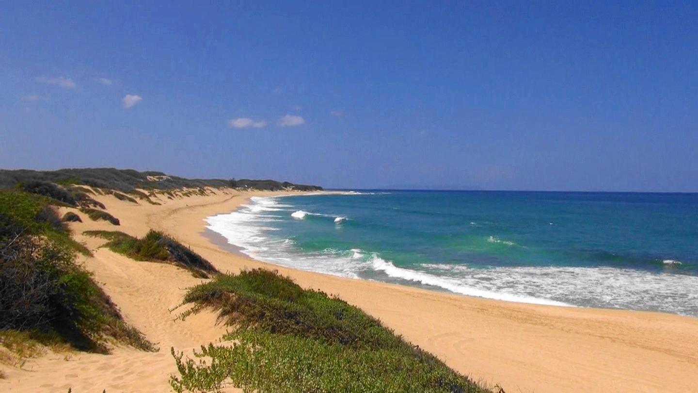 Sandee - Barking Sands Beach