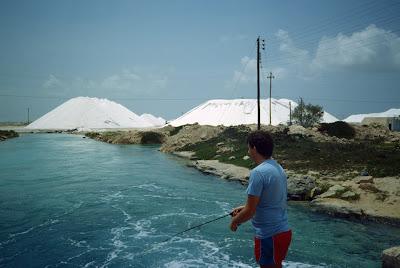 Sandee - Morton Salt's Beach