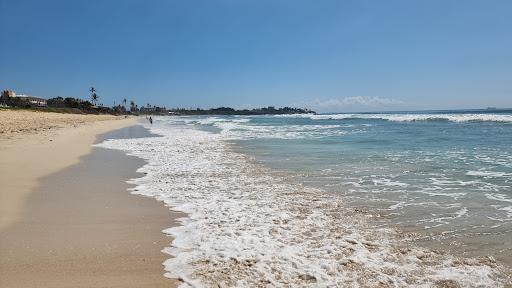 Sandee Masaki Coast Beach Photo