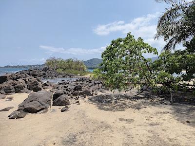 Sandee - Black Johnson Beach