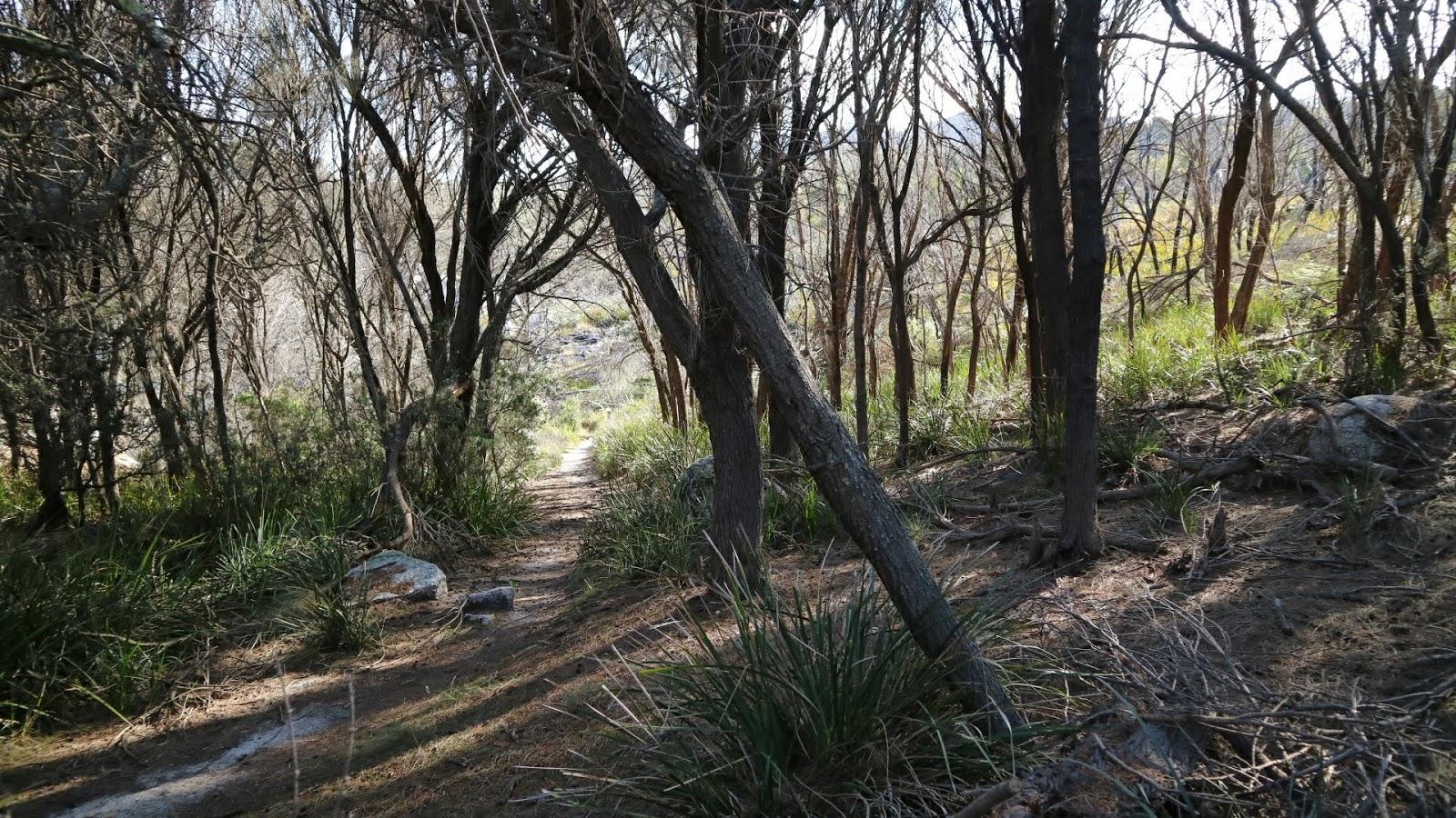 Sandee Humbug Point Nature Recreation Area