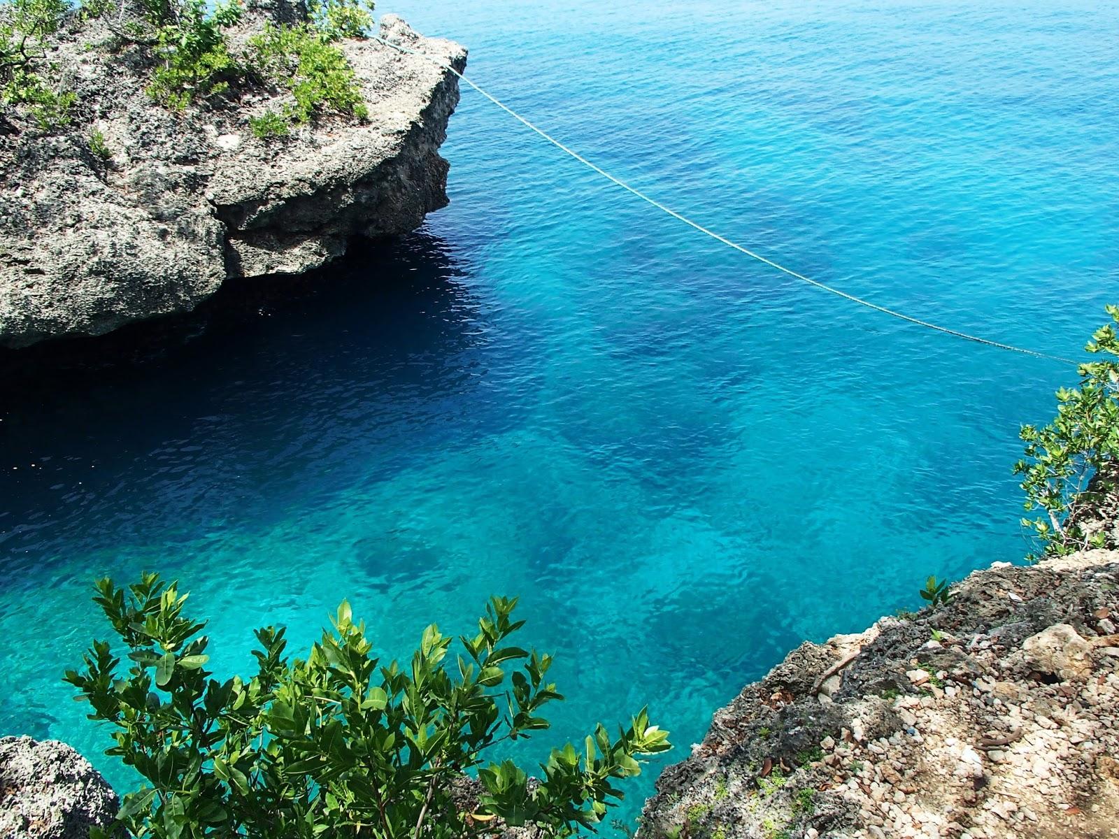 Sandee Salto De Morgan