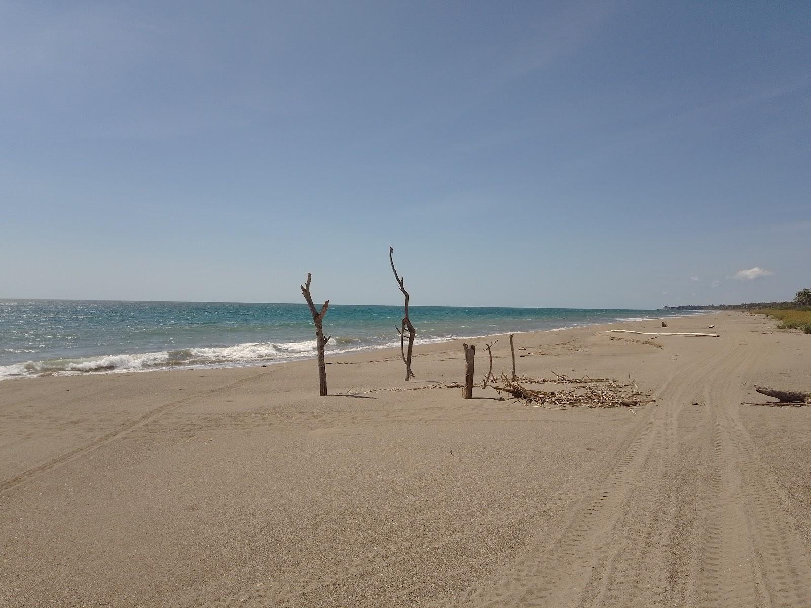 Sandee Playa Virgen Tortugas Photo