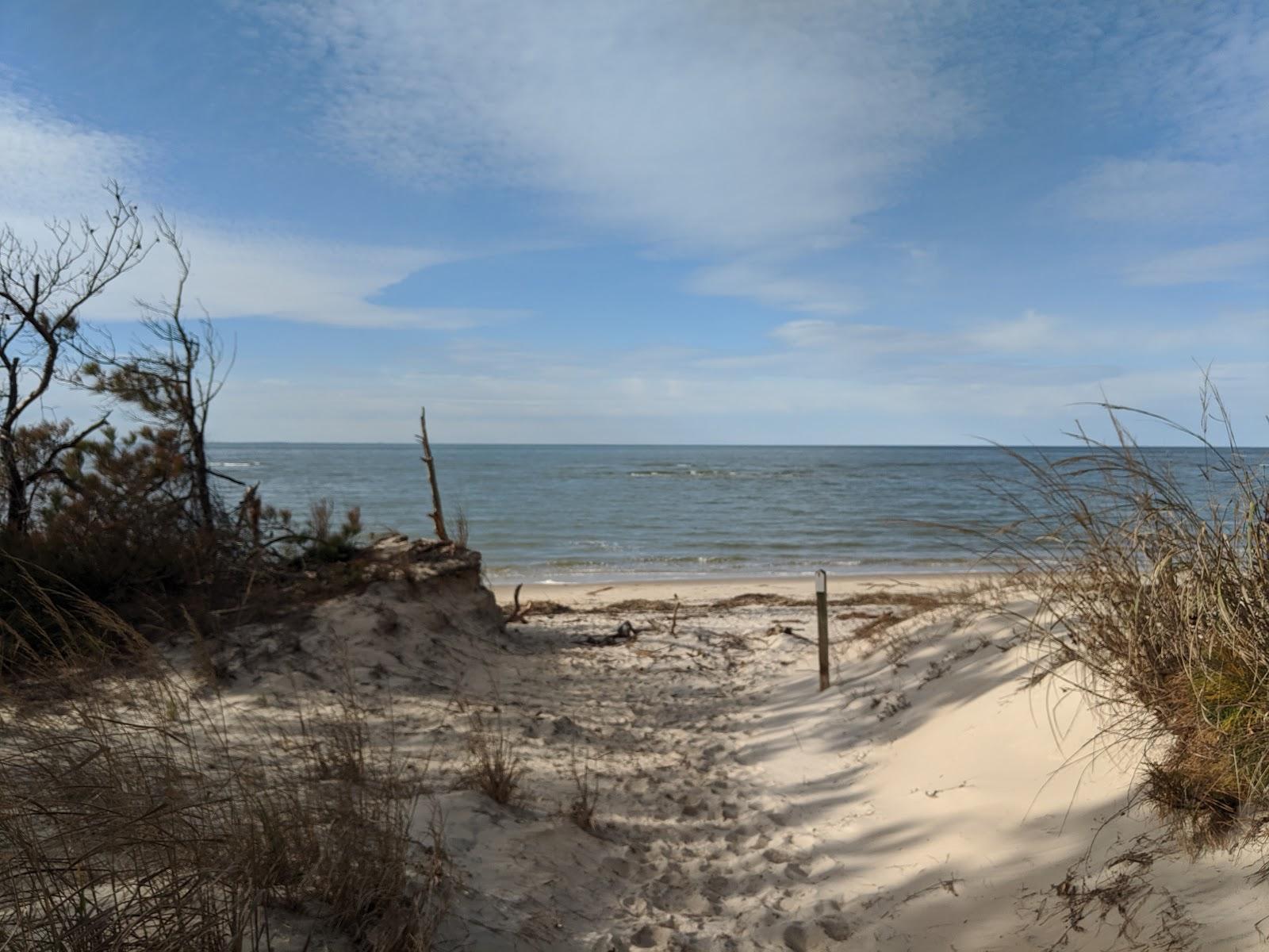 Sandee Tylers Beach Photo