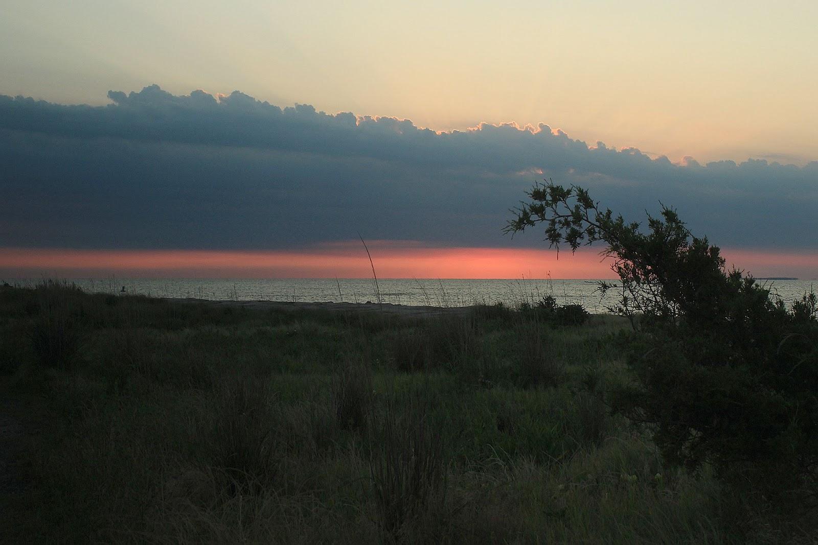 Sandee - Reeds Beach