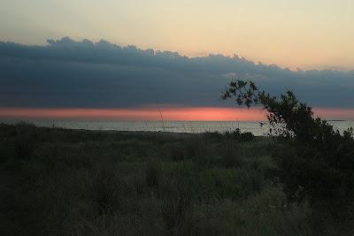 Sandee - Reeds Beach